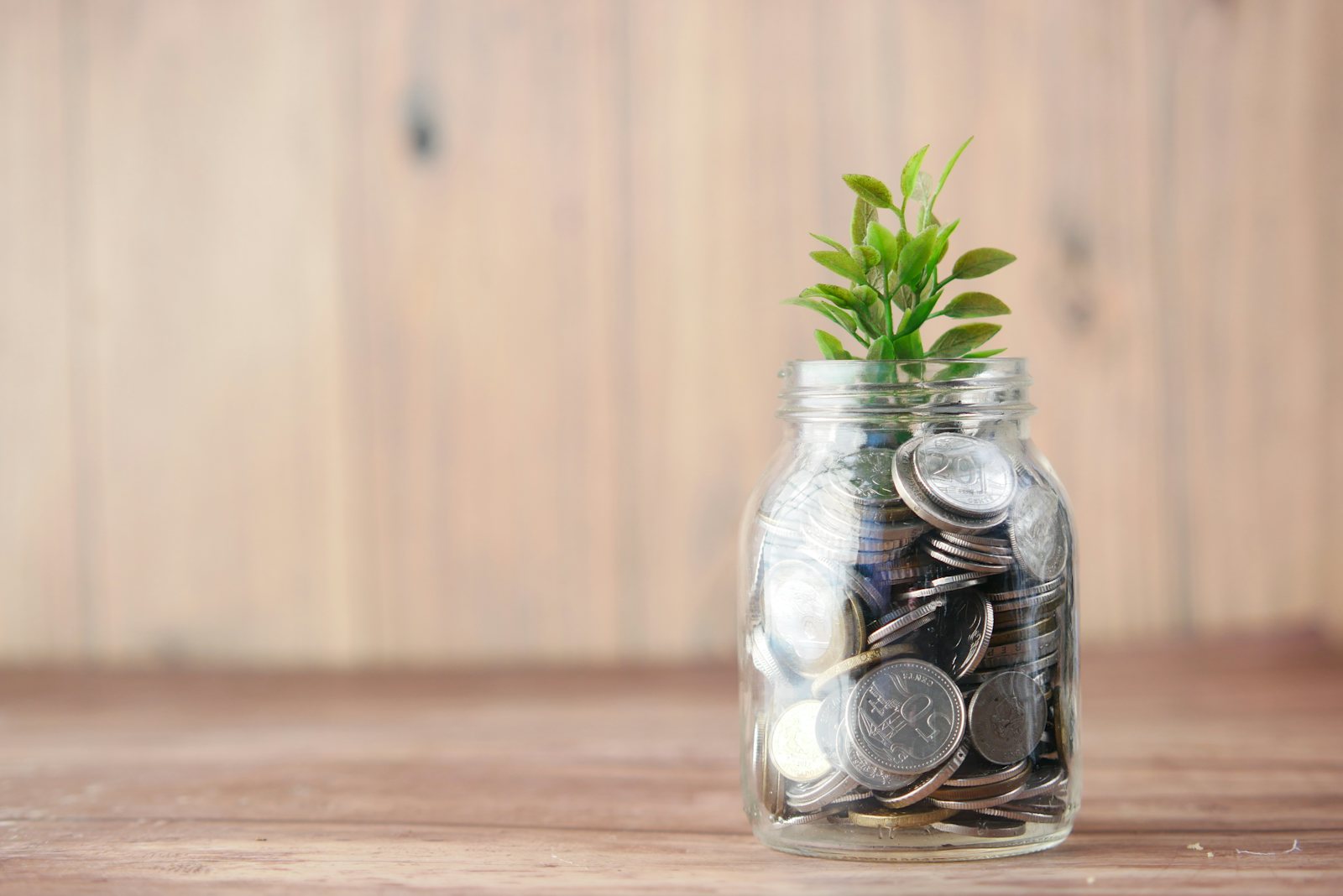 Glass jar of coins with a small plant
